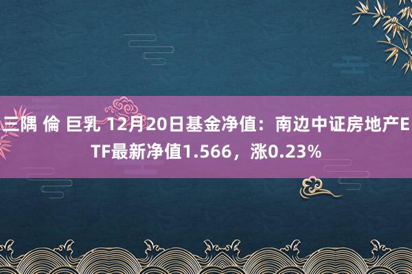 三隅 倫 巨乳 12月20日基金净值：南边中证房地产ETF最新净值1.566，涨0.23%