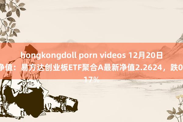 hongkongdoll porn videos 12月20日基金净值：易方达创业板ETF聚合A最新净值2.2624，跌0.17%