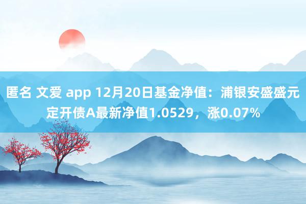 匿名 文爱 app 12月20日基金净值：浦银安盛盛元定开债A最新净值1.0529，涨0.07%