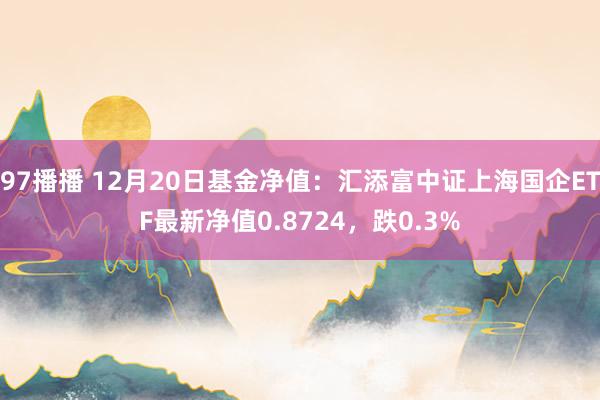 97播播 12月20日基金净值：汇添富中证上海国企ETF最新净值0.8724，跌0.3%