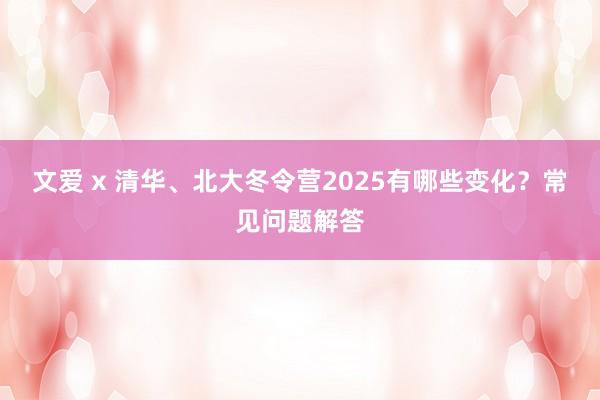 文爱 x 清华、北大冬令营2025有哪些变化？常见问题解答