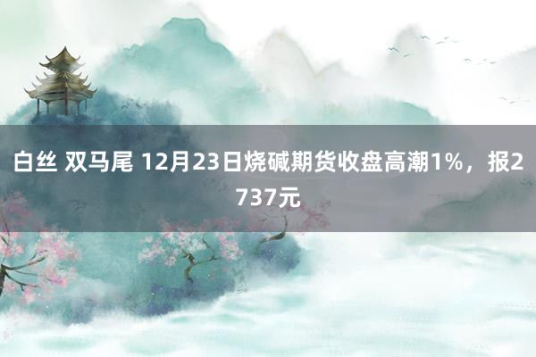 白丝 双马尾 12月23日烧碱期货收盘高潮1%，报2737元