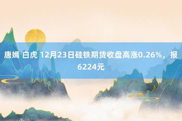 唐嫣 白虎 12月23日硅铁期货收盘高涨0.26%，报6224元