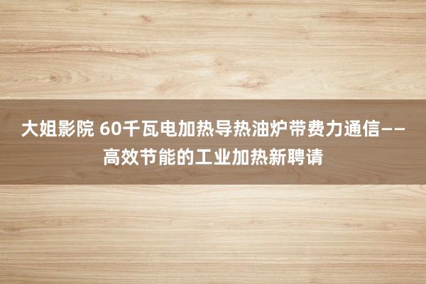 大姐影院 60千瓦电加热导热油炉带费力通信——高效节能的工业加热新聘请