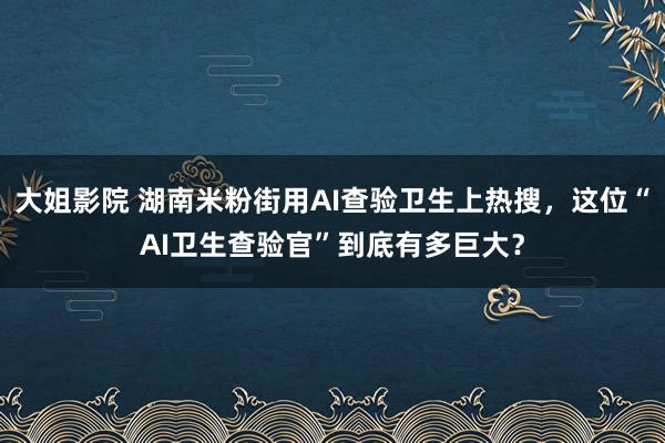 大姐影院 湖南米粉街用AI查验卫生上热搜，这位“AI卫生查验官”到底有多巨大？