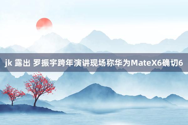 jk 露出 罗振宇跨年演讲现场称华为MateX6确切6