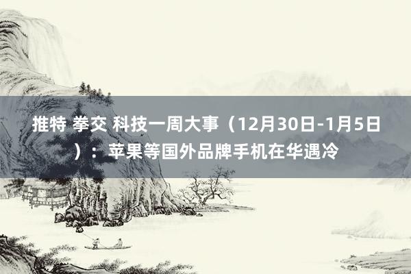 推特 拳交 科技一周大事（12月30日-1月5日）：苹果等国外品牌手机在华遇冷