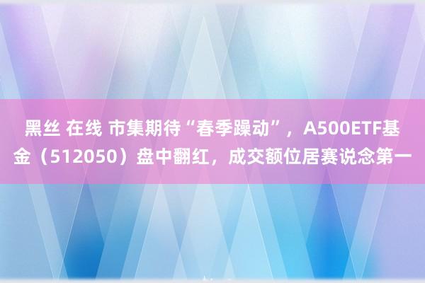 黑丝 在线 市集期待“春季躁动”，A500ETF基金（512050）盘中翻红，成交额位居赛说念第一