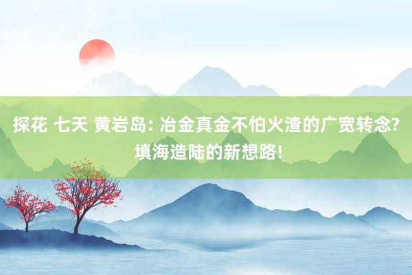 探花 七天 黄岩岛: 冶金真金不怕火渣的广宽转念? 填海造陆的新想路!