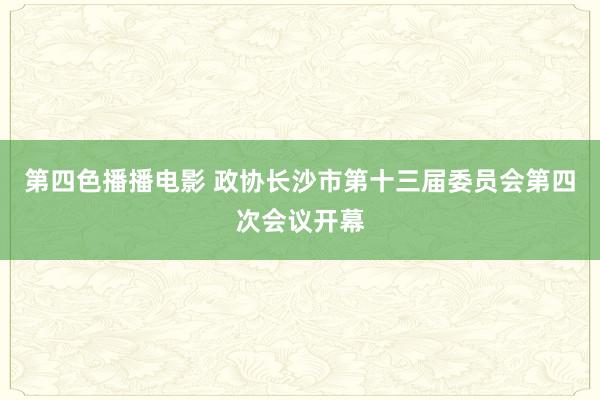 第四色播播电影 政协长沙市第十三届委员会第四次会议开幕