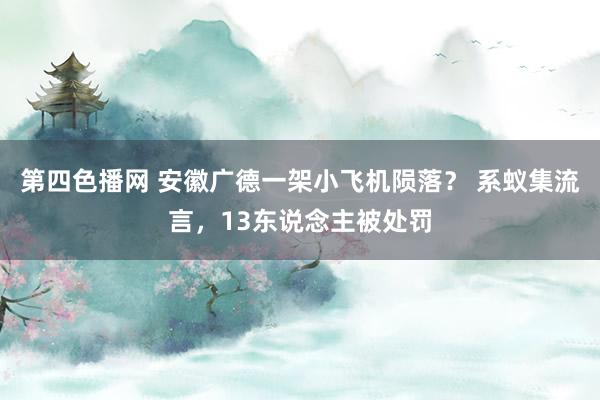 第四色播网 安徽广德一架小飞机陨落？ 系蚁集流言，13东说念主被处罚