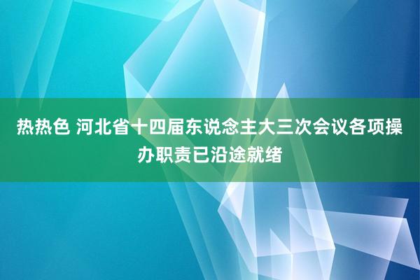 热热色 河北省十四届东说念主大三次会议各项操办职责已沿途就绪