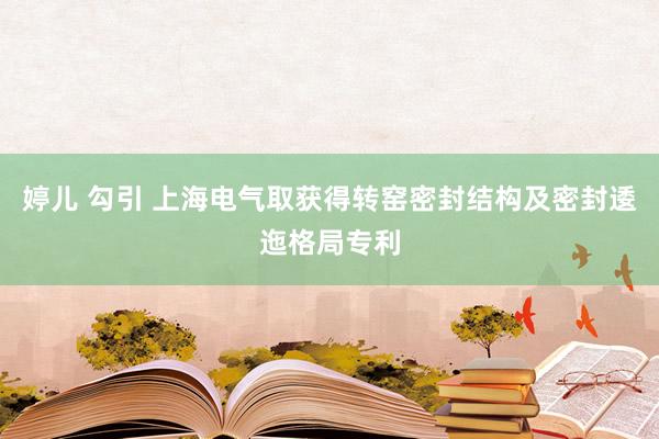 婷儿 勾引 上海电气取获得转窑密封结构及密封逶迤格局专利