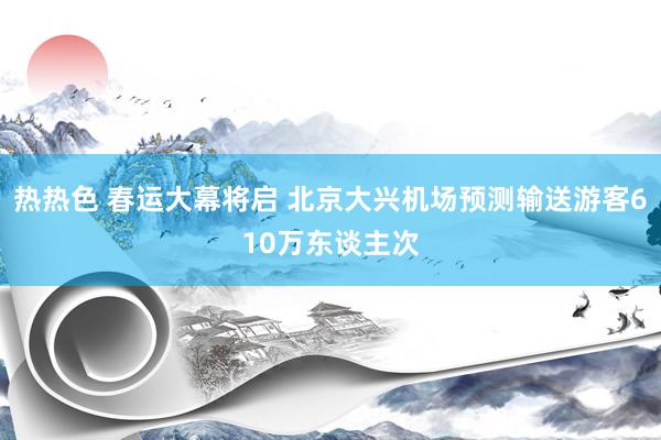 热热色 春运大幕将启 北京大兴机场预测输送游客610万东谈主次