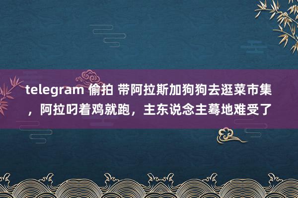 telegram 偷拍 带阿拉斯加狗狗去逛菜市集，阿拉叼着鸡就跑，主东说念主蓦地难受了