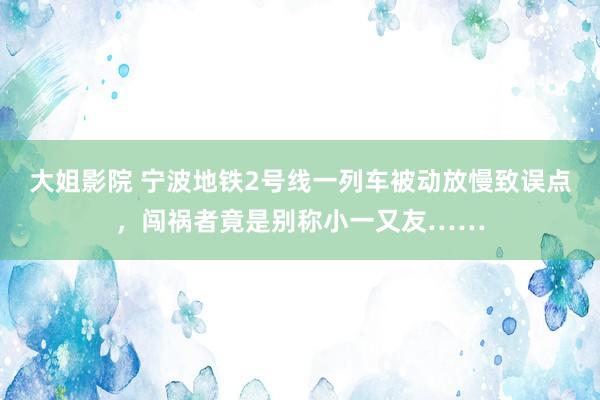 大姐影院 宁波地铁2号线一列车被动放慢致误点，闯祸者竟是别称小一又友……